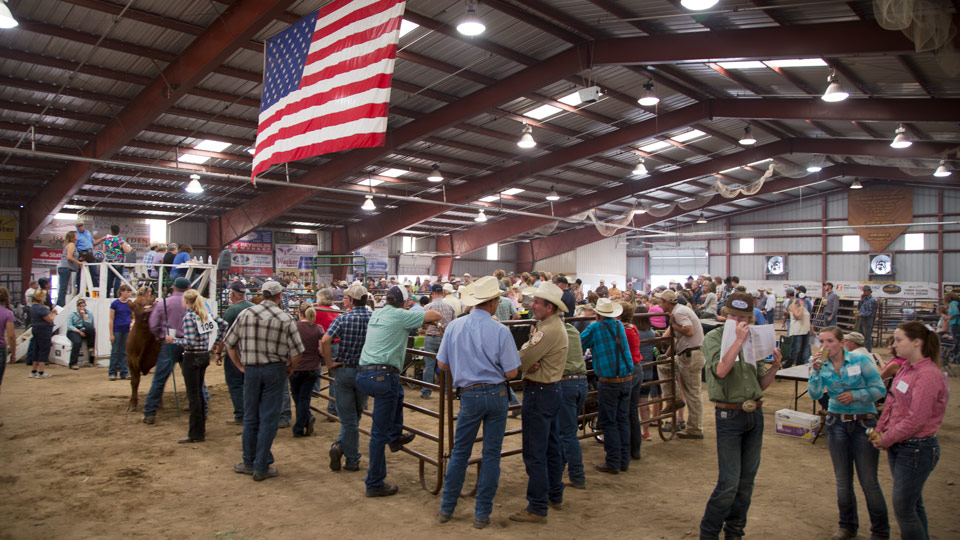 Eastern Montana Fair